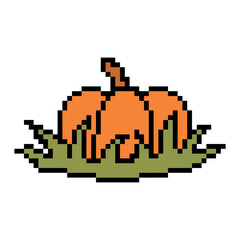 Big orange pumpkin in the grass, pixel art scene isolated on white background. Halloween and Thanksgiving symbol. Autumn holidays food.