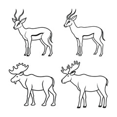 Simple outlined illustration of antelope and moose wildlife animals in a vector design