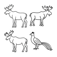 Outlined vector illustrations of moose and a pheasant in a simple black and white design