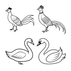 Elegant black and white illustrations of pheasants and swans for design purposes