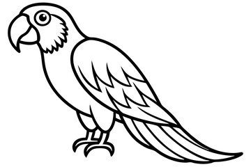 Simple Macaw Line Art