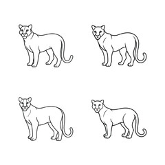 Four simple linear outlines of a cougar or mountain lion in different poses