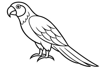 Simple Macaw Line Art