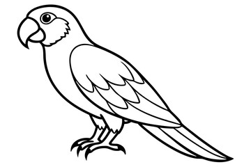 Simple Macaw Line Art