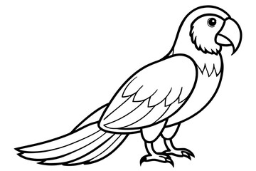 Simple Macaw Line Art