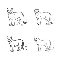 Outline illustrations of cougar animals in various poses depicting wildlife concepts