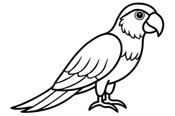 Simple Macaw Line Art