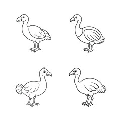Set of cartoon dodo bird outlines in different poses for coloring and educational design © kajallata