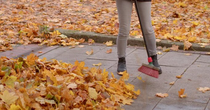 A dedicated individual uses a broom to clear fallen leaves from a busy walkway in a picturesque urban park, showcasing seasonal yard maintenance and care for the environment