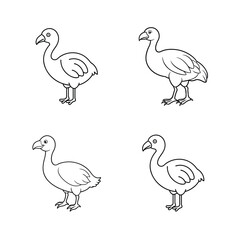 Simple black and white illustration of four dodo birds on a white background