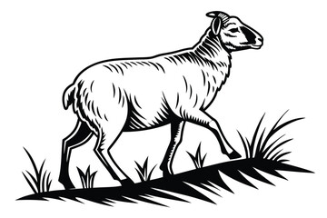 Black and white line art depicts a sheep walking through some tall grass