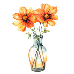 A Orange Cosmos In A Vase, watercolor painting vector, isolated on a white background.