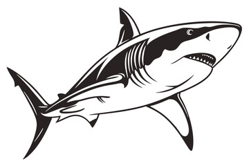 Menacing shark swims powerfully with a sharp focus, showcasing pointed teeth in stark black and white