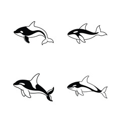 Simple black and white vector illustration of orca killer whales in various poses