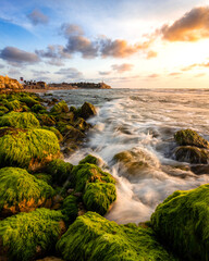 Waves of the Mediterranean sea crashing into seaweed covered rocks on the beach in Tel Aviv, Israel at sunset with Old Yaffo seen in the distance