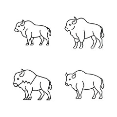 Simple illustrated vector set of american bison animals in minimalist black line style