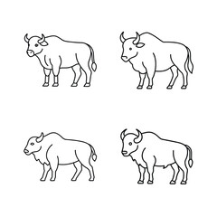 Four minimalist black and white outlined illustrations of american bison in various poses