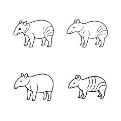 Vector illustration of four tapirs in different poses simple outline animal drawings