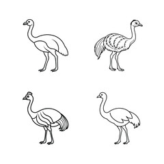 Set of four minimalist black and white line art illustrations of rheas birds