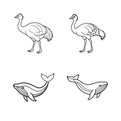Simple black and white illustrations of two emu birds and two whales on white background