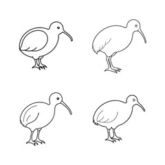 Set of four simple black and white illustrations depicting the kiwi bird in different poses