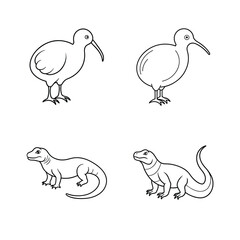 Illustrated black and white kiwi bird and lizard outline set for educational purposes