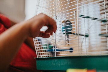 A hand reaches toward a parakeet inside a cage, highlighting themes of connection, care, and pet interaction in a home environment.