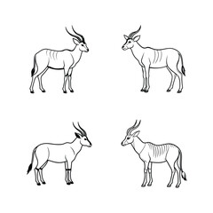 Detailed black and white line art illustrations of antelopes in various poses on white background