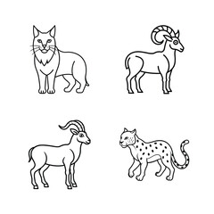 Black and white line art illustration of lynx ibex and leopard animals on white background
