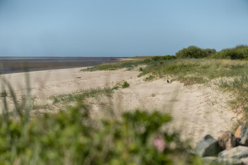 Am Strand an der Knock in Emden / Rysum