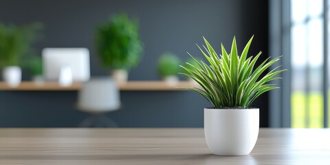 Modern greenery in office space indoor plant decor minimalist design calm vibe