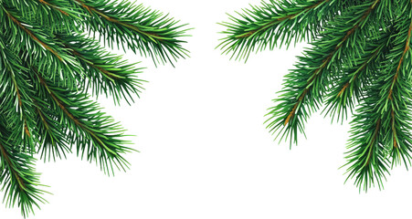 Fototapeta premium Two Vibrant Christmas Fir Branches