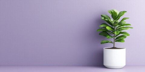 Indoor plant display modern home photo minimalist style close-up greenery