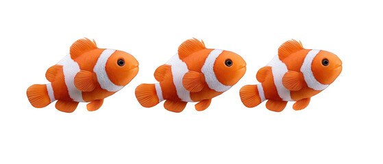 Three orange clownfish swimming together in a clear aquarium, showcasing vibrant colors and playful movement