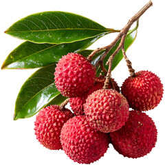 Lychee