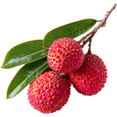 Lychee
