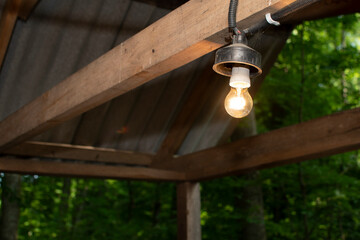 Light bulb in a gazebo in the forest