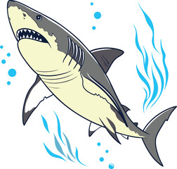 vector illustration of a shark