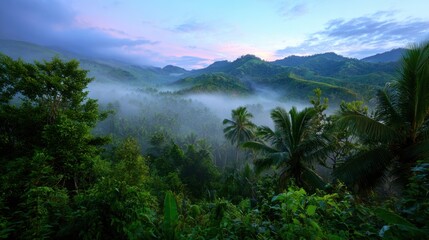 Misty Landscape of Lush Green Hills at Early Morning