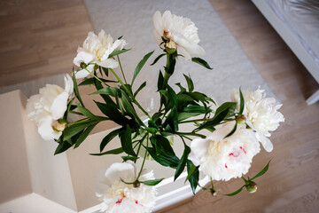 White Peony Flowers in a Glass Vase on a Bright Wooden Surface