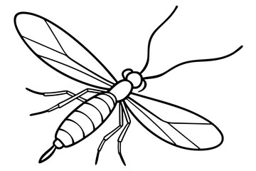 Simple Mayfly Line Drawing