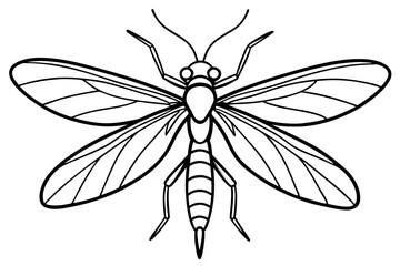 Simple Mayfly Line Drawing