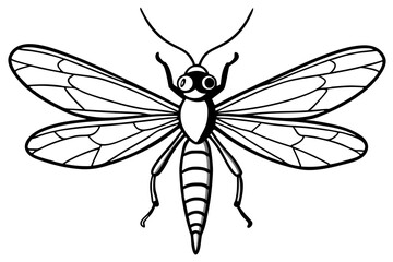 Simple Mayfly Line Drawing