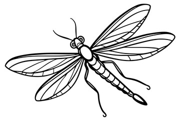 Simple Mayfly Line Drawing