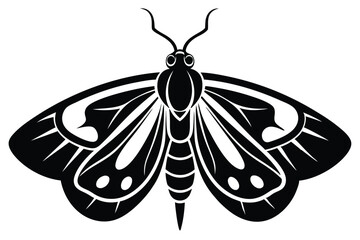 Striking butterfly displays intricate wing patterns and an abstract body in a bold black silhouette