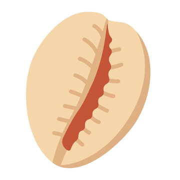 Cartoon cowrie shell with smooth surface. Flat vector illustration in soft beige marine tones.