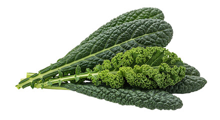 Fresh Kale Leaves Isolated on White Background Healthy Eating