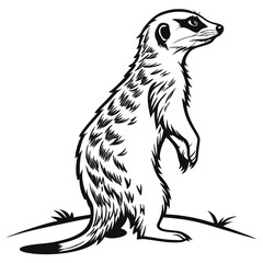 Alert meerkat stands upright looking intently in a black and white stylized vector