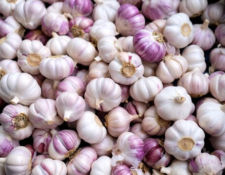 closeup of garlic