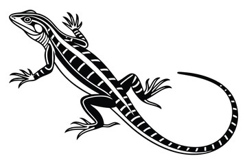 Black striped whiptail lizard showing scaled skin pattern over white background is very detailed